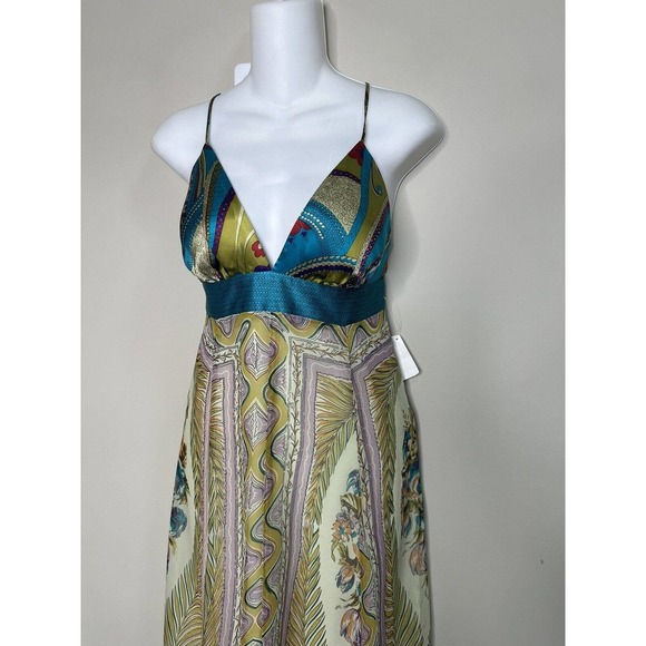 NWT~ SINGLE Brand 100%Silk Exotic Print Maxi Long Dress ~ S - Picture 5 of 12